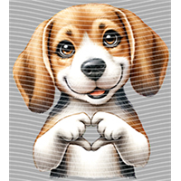 Valentine's Day-QRJ  4704